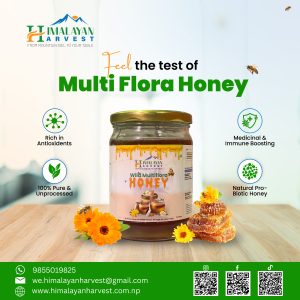 Wild Multiflora Honey